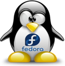 Penguin pingouin pinguino 924
